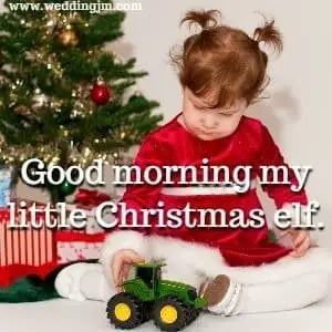Good morning my little Christmas elf.
