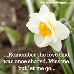 Remember the love that was once shared. Miss me, but let me go