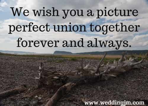 We wish you a picture perfect union together forever and always.