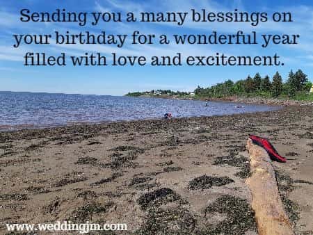Sending you many blessings on your birthday for a wonderful year filled with love and 
	excitement.