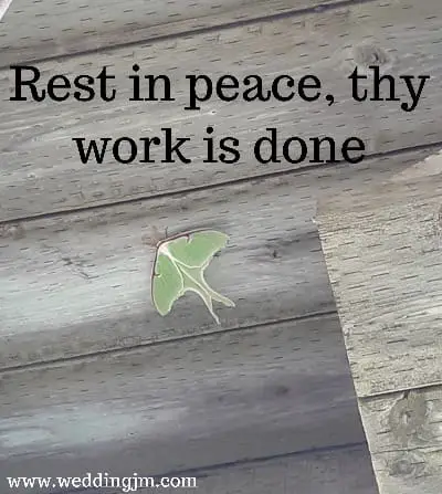 Rest in peach, thy work is done
