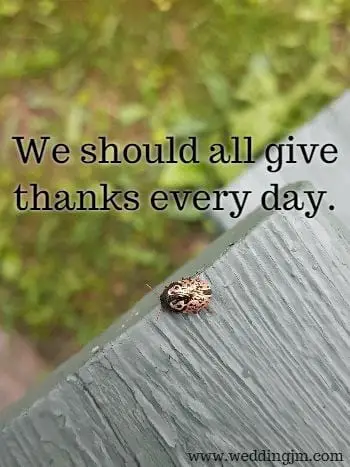 We should all give thanks every day.