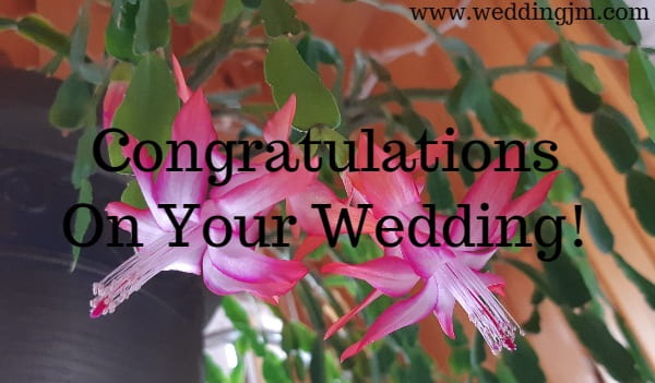 Congratulations on your wedding