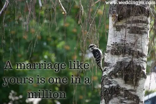 A marriage like yours is one in a million