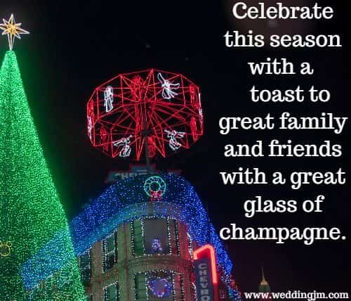 Celebrate this season with a toast to great family and friends with a great
	glass of champagne.