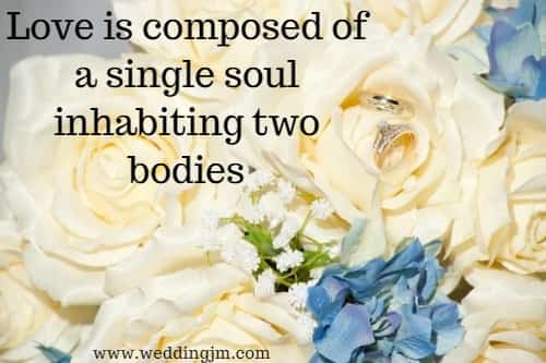 Love is composed of a single soul inhabiting two bodies