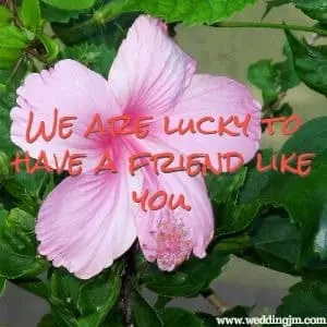 We are lucky to have a friend like you.