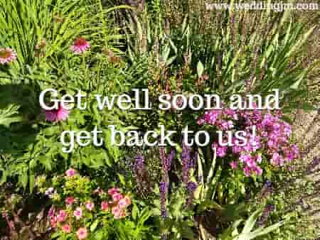 Get well soon and get back to us!