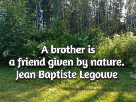 A brother is a friend given by nature.