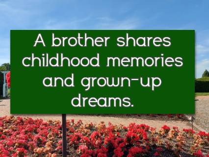 A brother shares childhood memories and grown-up dreams.