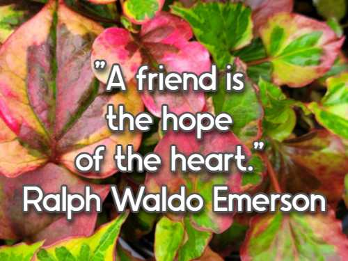 A friend is the hope of the heart.