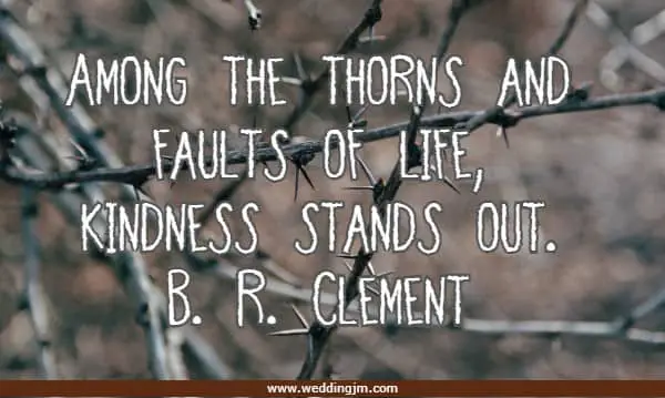 Among the thorns and faults of life, kindness stands out.