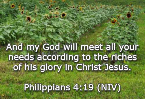 And my God will meet all your needs according to the riches of his glory in Christ Jesus. Philippians 4:19 (NIV)