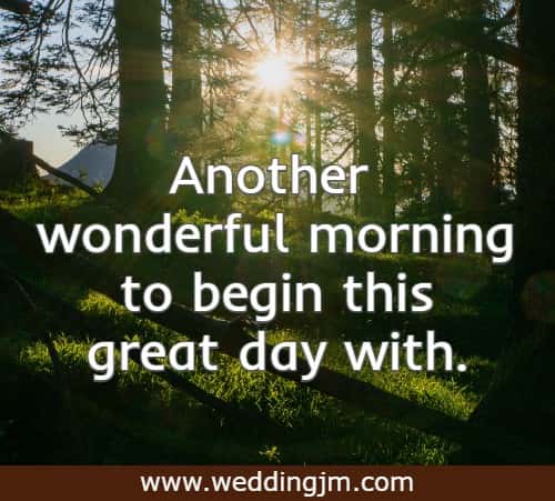 Another wonderful morning to begin this great day with.