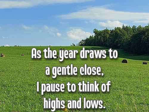 As the year draws to a gentle close, I pause to think of highs and lows.