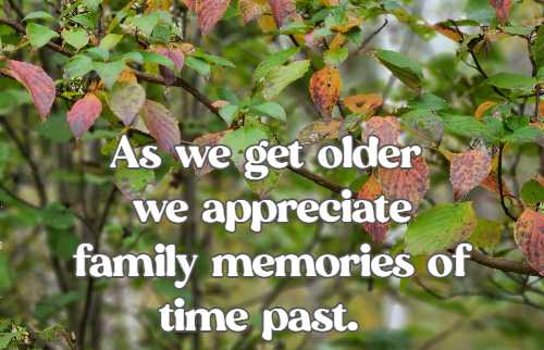 As we get older we appreciate family memories of time past.