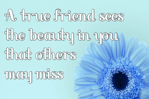 A true friend sees the beauty in you that others may miss