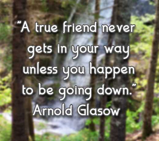 A true friend never gets in your way unless you happen to be going down