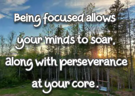 Being focused allows your minds to soar, Along with perseverance at your core.