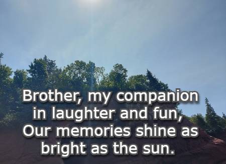 Brother, my companion in laughter and fun, Our memories shine as bright as the sun.