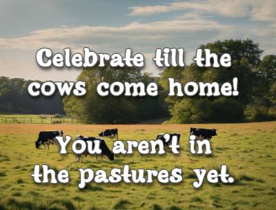 Celebrate till the cows come home! You aren't in the pastures yet.