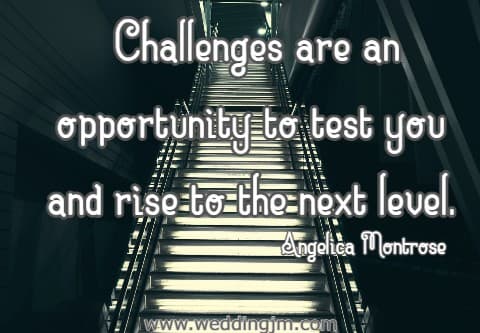 Challenges are an opportunity to test you and rise to the next level. Angelica Montrose