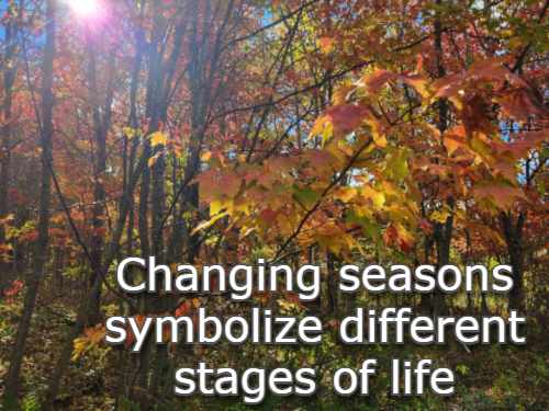 Changing seasons symbolize different stages of life