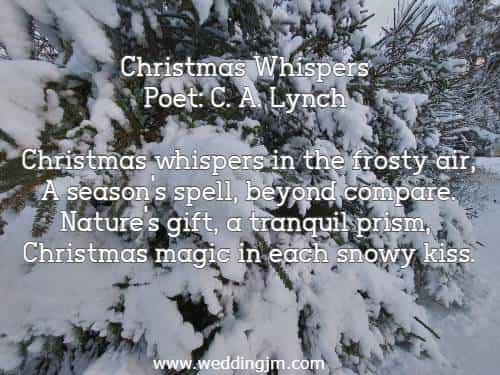 Christmas Whispers Poet: C. A. Lynch Christmas whispers in the frosty air, A season's spell, beyond compare. Nature's gift, a tranquil prism, Christmas magic in each snowy kiss.