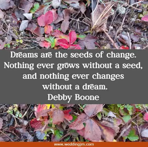 Dreams are the seeds of change. Nothing ever grows without a seed, and nothing ever changes without a dream.