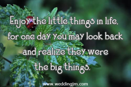 Enjoy the little things in life, for one day you may look back and realize they were the big things.