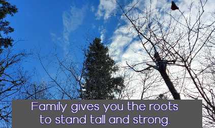 Family gives you the roots to stand tall and strong.