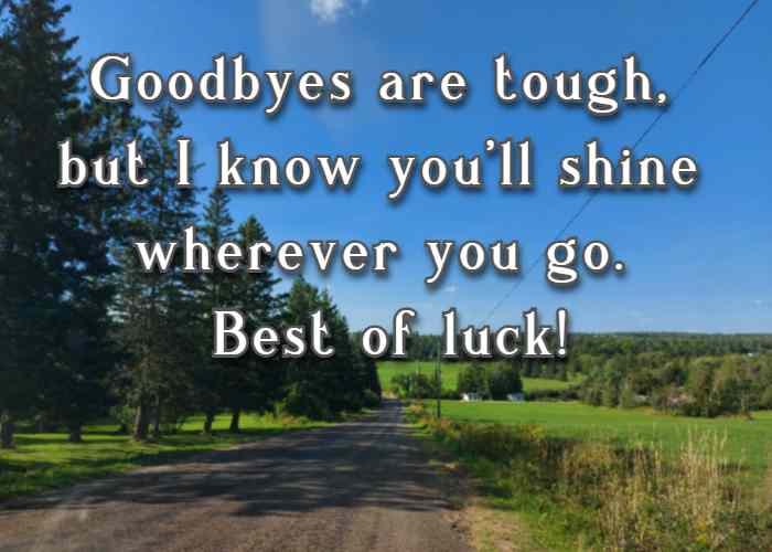 Goodbyes are tough, but I know you'll shine wherever you go. Best of luck!