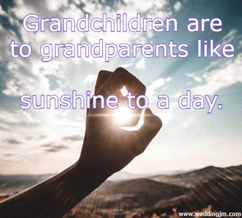 Grandchildren are to grandparents like sunshine to a day.