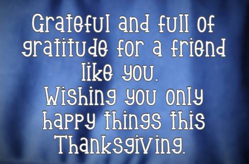 Grateful and full of gratitude for a friend like you. Wishing you only happy things this Thanksgiving.