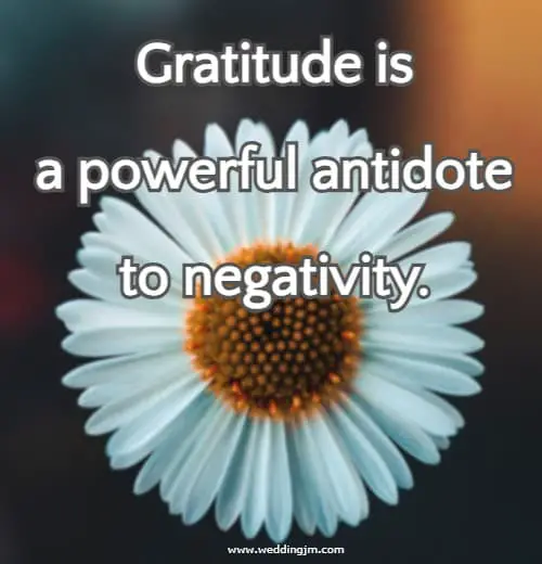Gratitude is a powerful antidote to negativity.