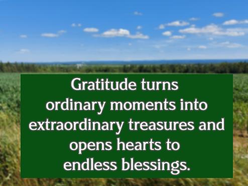 Gratitude turns ordinary moments into extraordinary treasures and opens hearts to endless blessings.