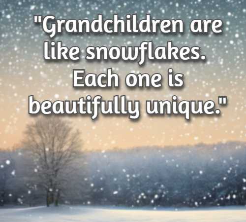 Grandchildren are like snowflakes. Each one is beautifully unique.