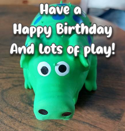 Have a Happy Birthday And lots of play!