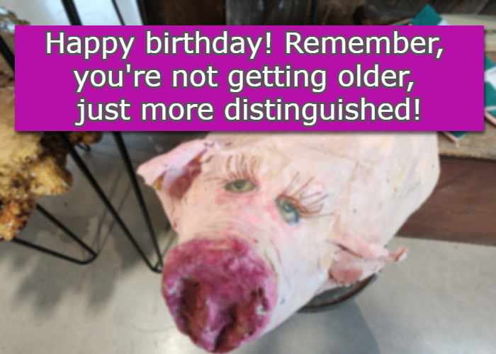 Happy birthday! Remember, you're not getting older, just more distinguished!