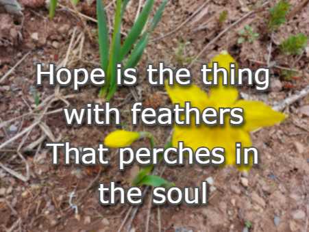 Hope is the thing with feathers That perches in the soul