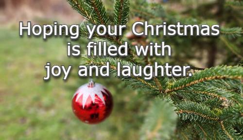 Hoping your Christmas is filled with joy and laughter.