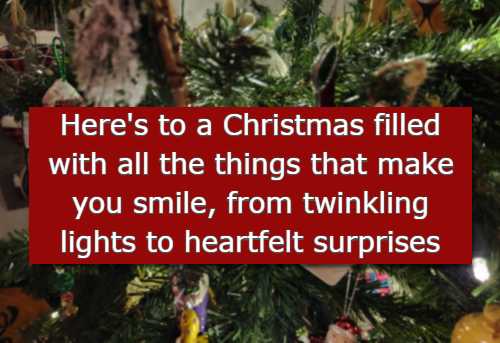 Here's to a Christmas filled with all the things that make you smile, from twinkling lights to heartfelt surprises.