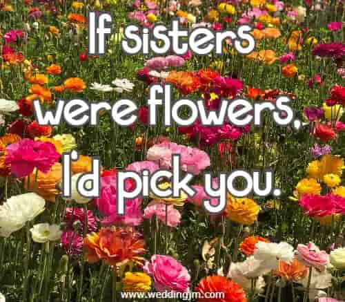 If sisters were flowers, I'd pick you.
