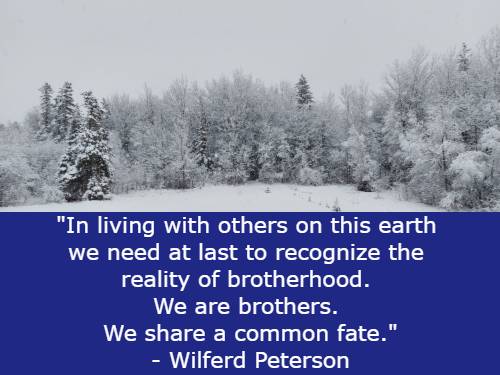 In living with others on this earth we need at last to recognize the reality of brotherhood. We are brothers. We share a common fate. Wilferd Peterson