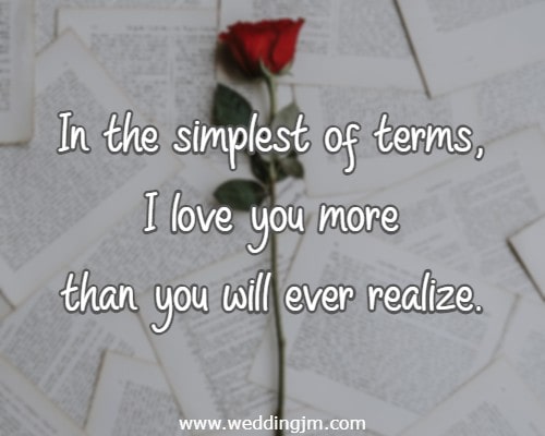  In the simplest of terms, I love you more than you will ever realize.