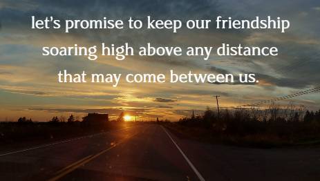 let's promise to keep our friendship soaring high above any distance that may come between us