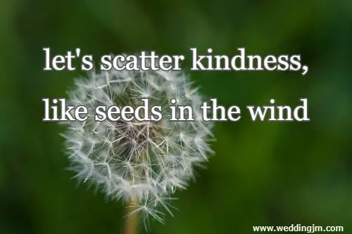 let's scatter kindness, like seeds in the wind