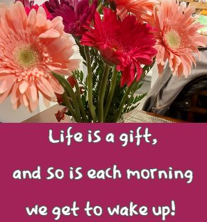 Life is a gift, and so is each morning we get to wake up!