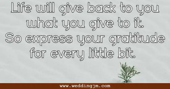 Life will give back to you what you give to it. So express your gratitude for every little bit. 