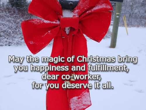 May the magic of Christmas bring you happiness and fulfillment, dear co-worker, for you deserve it all.